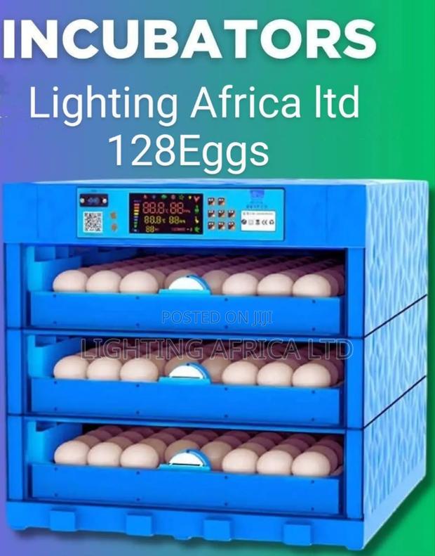 128 Eggs Commercial Ac/Dc Incubator