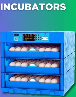 64 Eggs Domestic Incubator Ac/Dc