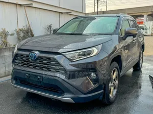 Toyota RAV4 XLE Premium FWD 2019 Gray