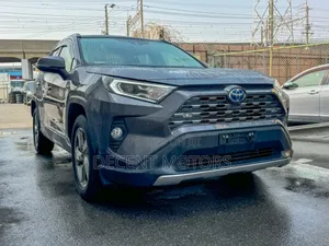 Toyota RAV4 XLE Premium FWD 2019 Gray