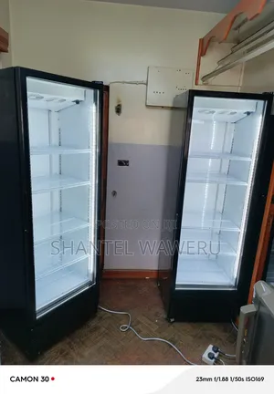 Display Fridge 5selves