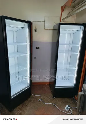 Display Fridge 5selves