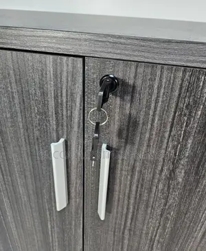 Cabinets:Wide Two Door Grey Oak Executive Office Cupboard