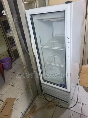 Min Shop Display Fridge % Chiller