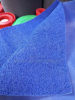 Blue Anti Slip Door Mats Spaghetti Doormat
