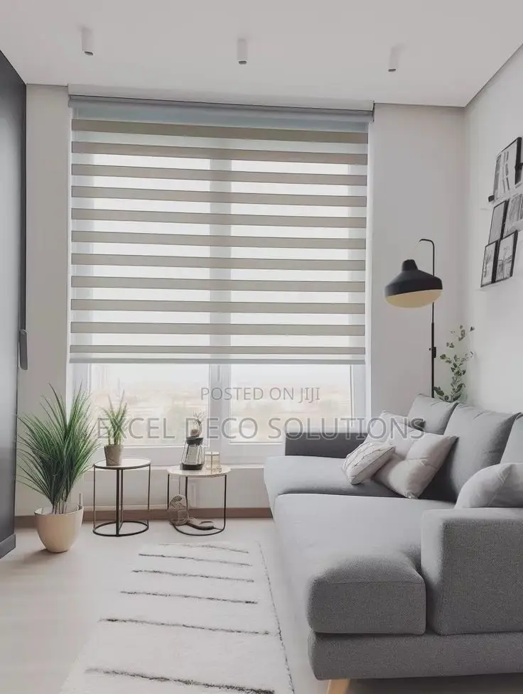 "Make Every Window a Statement!" With Zebra Window Blinds