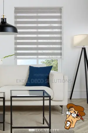 "Shape Your Light, Shape Your Mood!" With Zebra Window Blind