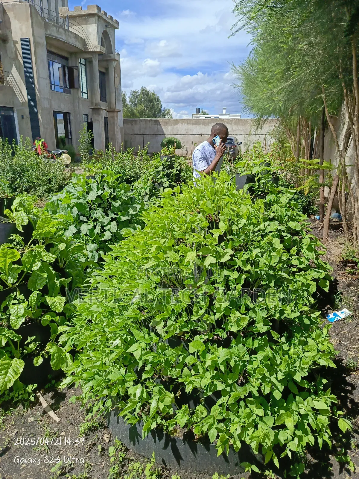 Multistorey Garden