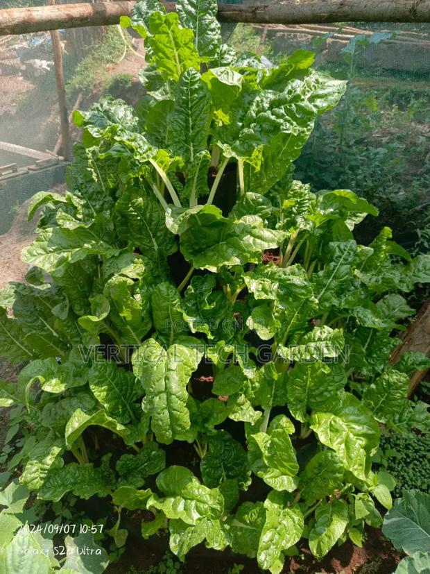 Multistorey Garden - thumbnail 9