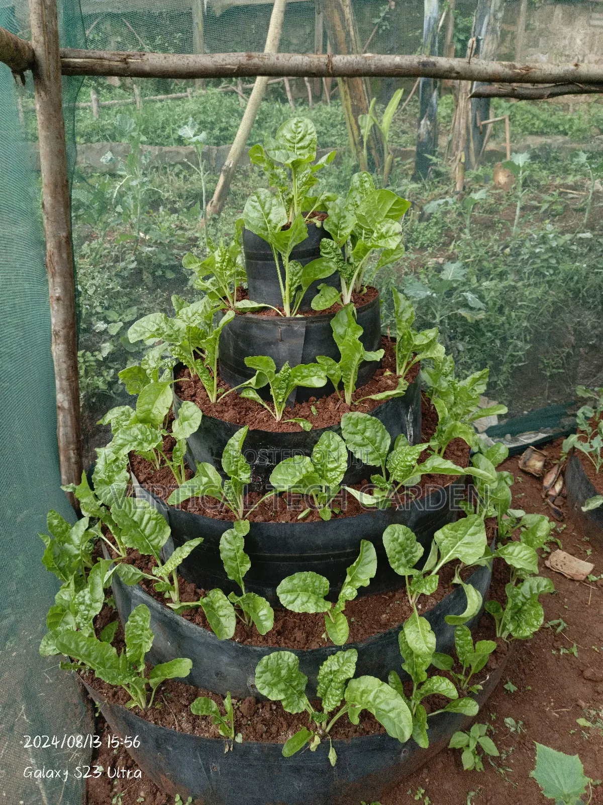 Multistorey Garden