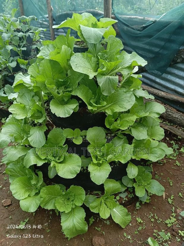 Multistorey Garden - thumbnail 7