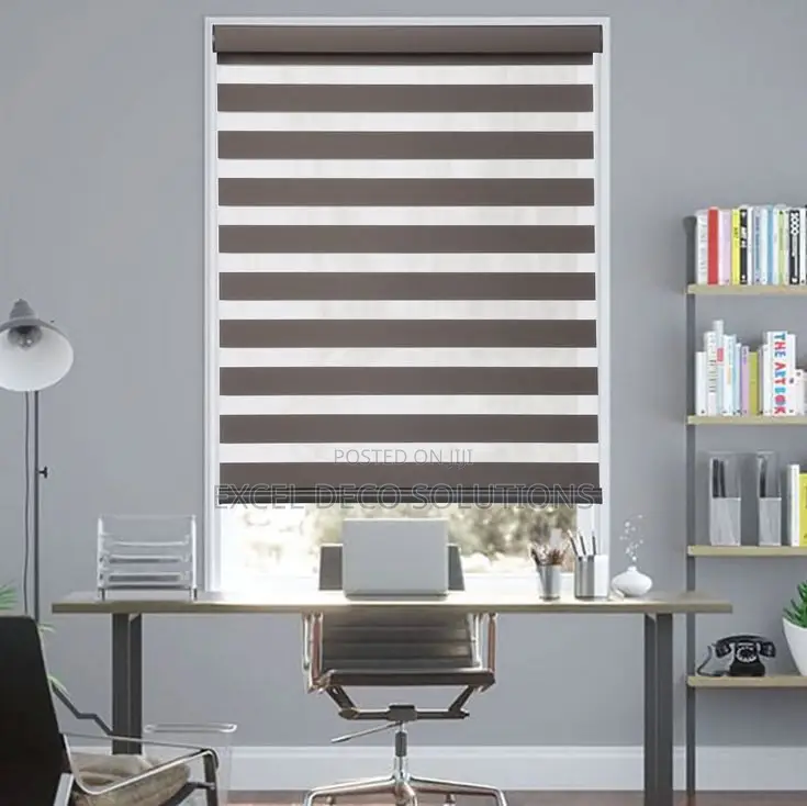 "Step Into the Shade — In Style!" With Zebra Window Blinds
