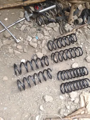 Nissan Lafesta Haevy Duty Coil Springs