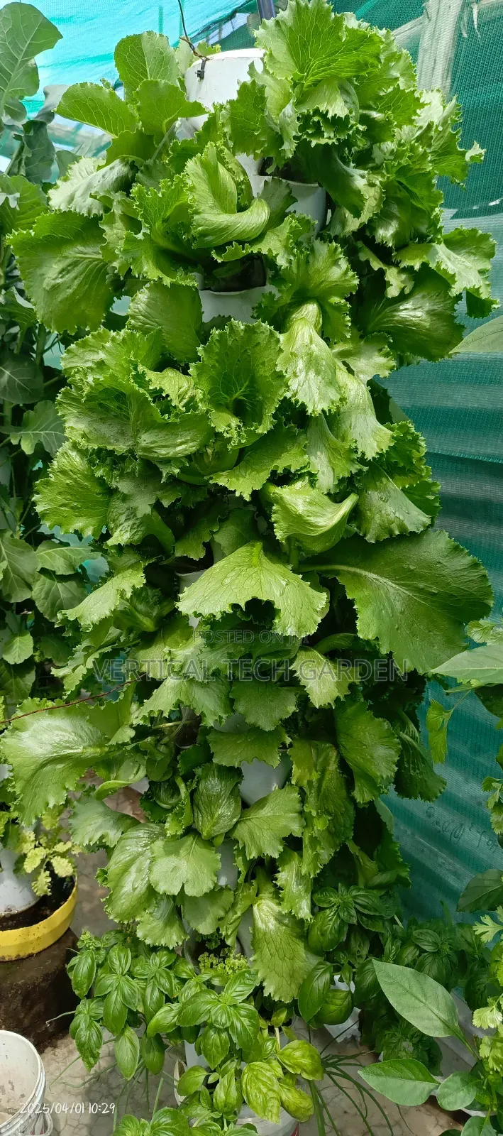Tower Garden
