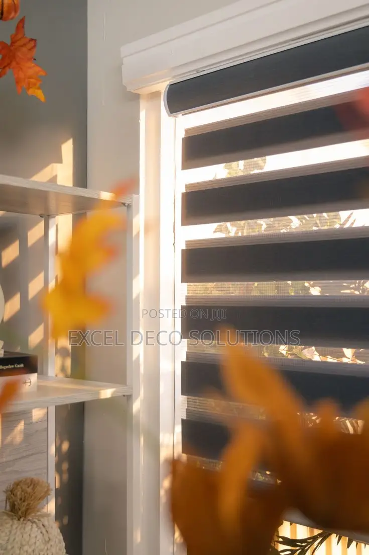 "Light Control With a Luxe Touch!" With Zebra Window Blinds