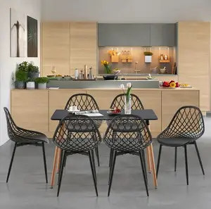 Home Chair ; Plastic Hollow Dining Leisure Chair