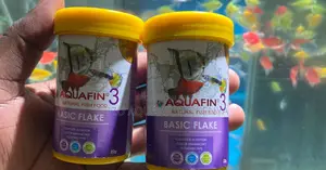 Healthy, Happy Fish With Aquafin 3 Flakes