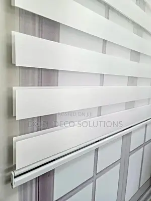 "Tailored Light for Tailored Living!"Zebra Window Blinds
