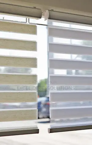 "The Modern Makeover Your Windows Need!" With Zebra Blinds