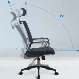 Office Chair: Modern Office Chair With Orthopedic Neck Rest