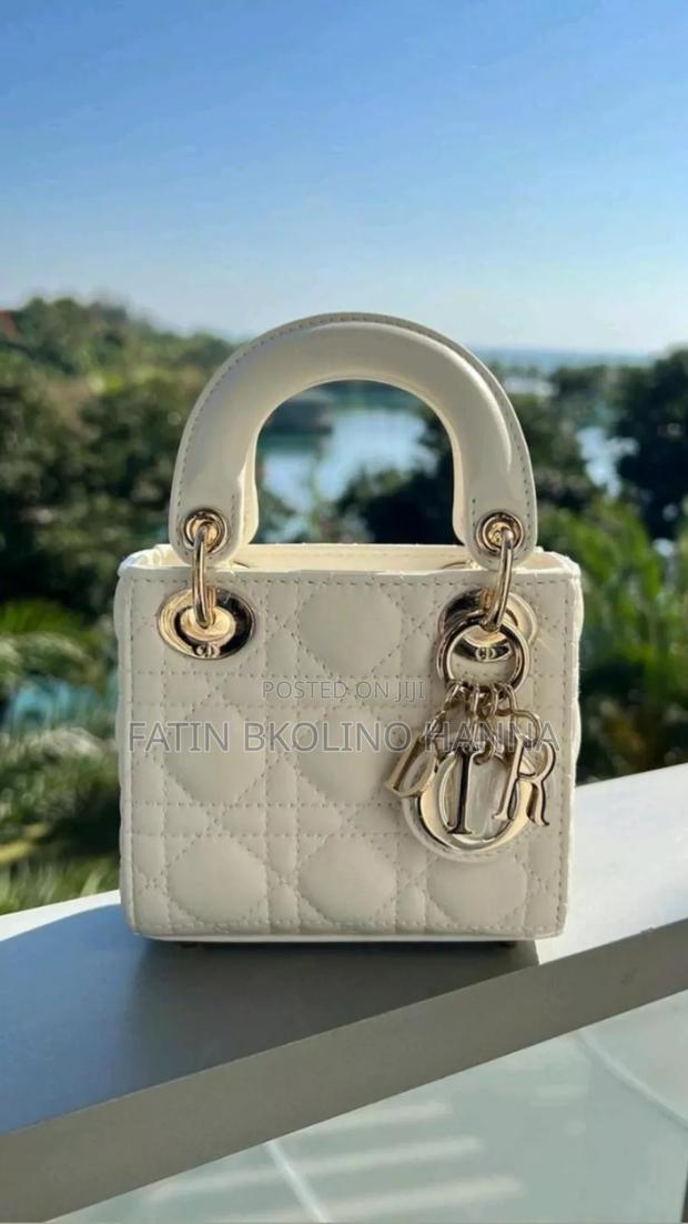 Small Dior Handbag - main view