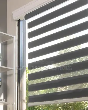Catch the Perfect Shade!" With Zebra Window Blinds