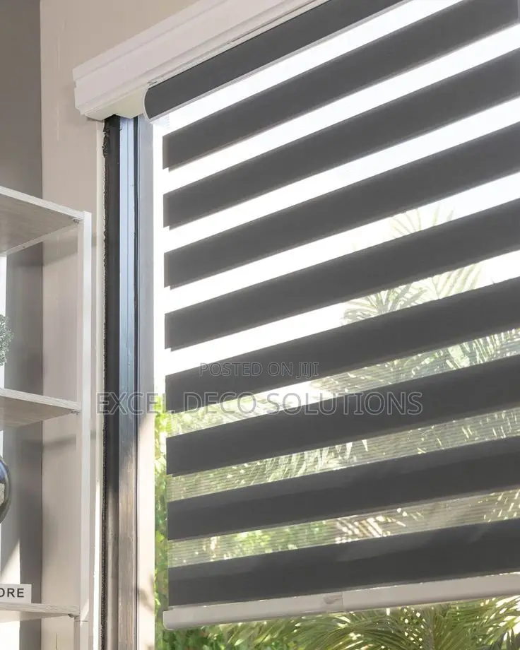 Catch the Perfect Shade!" With Zebra Window Blinds