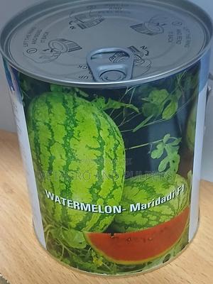 Watermelon - Maridadi F1 - thumbnail 2