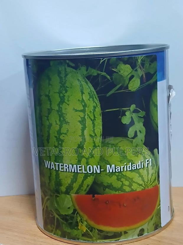 Watermelon - Maridadi F1 - thumbnail 3