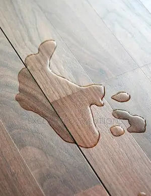 "Tough Floors, Timeless Style!" With SPC Flooring