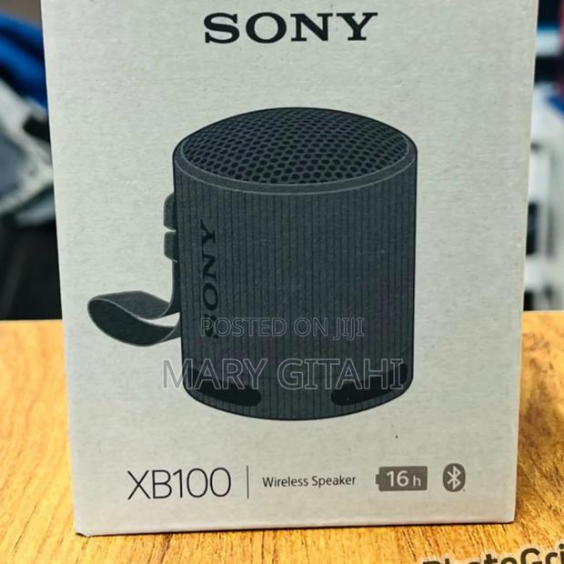 Sony Xb100 Portable Bluetooth Speaker at
