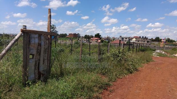 Tola, 50x100 Plots. - main view