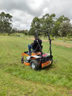 Ride On/Zero-turn Honda Petrol Lawn Mower Powerful