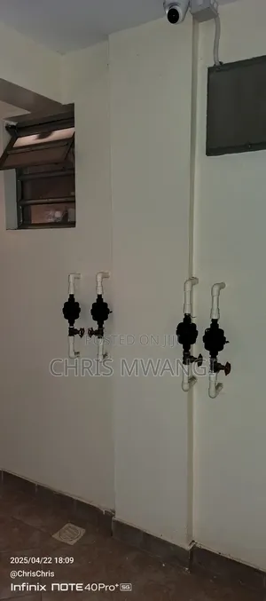 1bdrm Block of Flats in Mirema Estate, Roysambu for sale