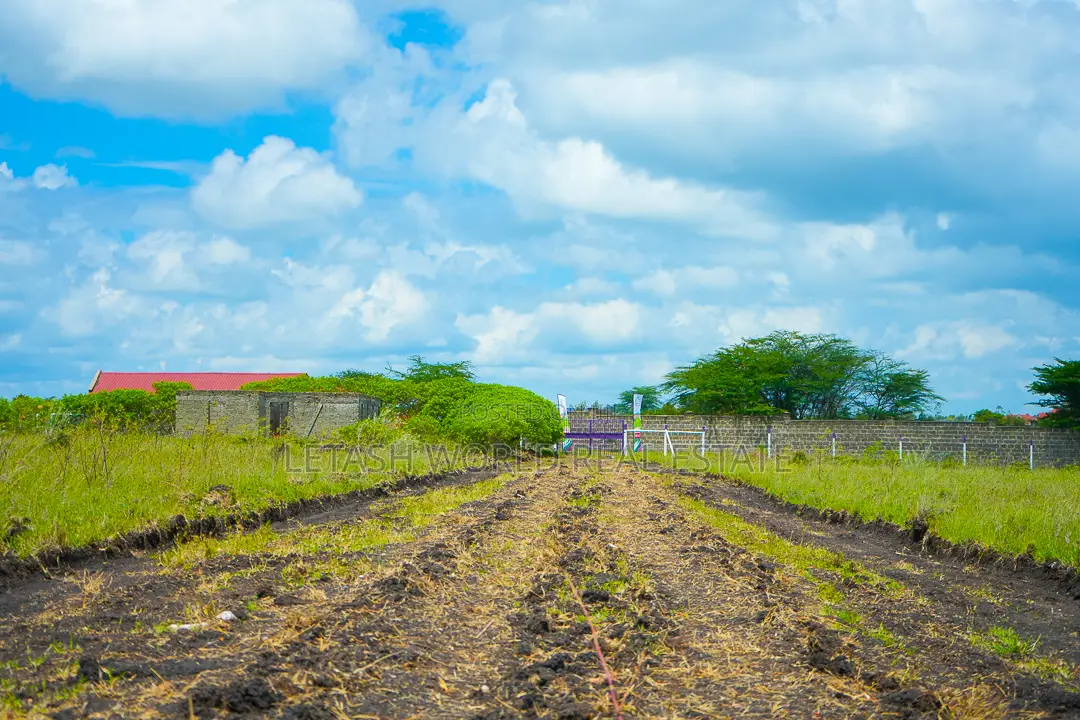 Get a Piece of Kitengela Plains 2