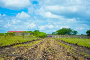 Get a Piece of Kitengela Plains 2