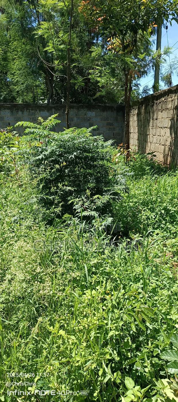 Clean Title - thumbnail 7