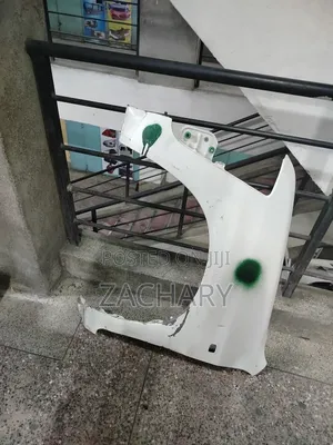 Toyota Probox Old Wing