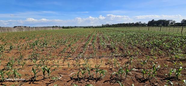 Prime Land For Sale In Moiben Eldoret