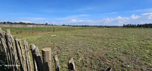 Prime Land For Sale In Moiben Eldoret