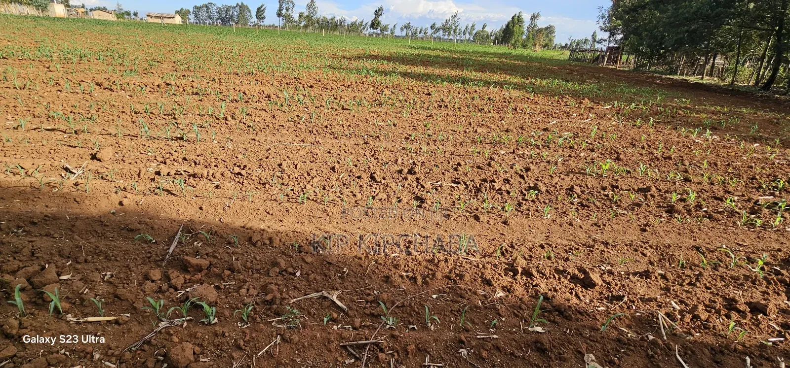 Prime Land For Sale In Moiben Eldoret