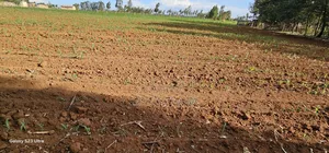 Prime Land For Sale In Moiben Eldoret