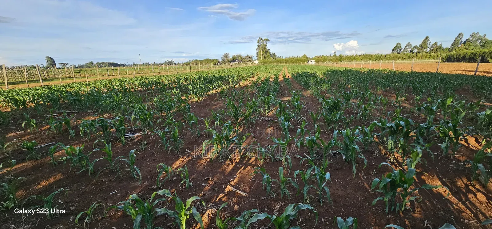 Prime Land For Sale In Moiben Eldoret