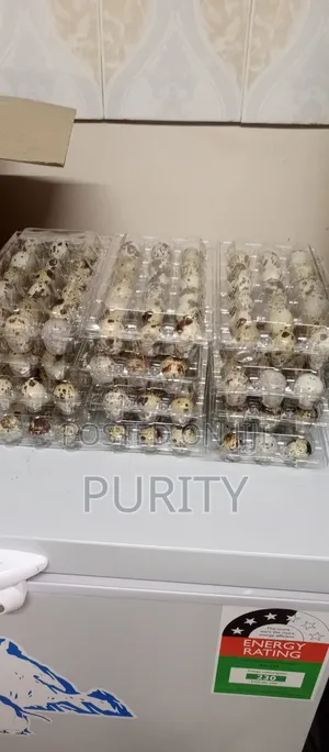 Quail Eggs