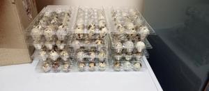 Quail Eggs - thumbnail 2