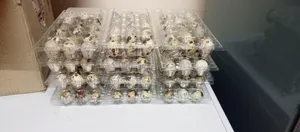 Quail Eggs