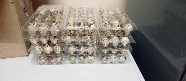 Quail Eggs - main view