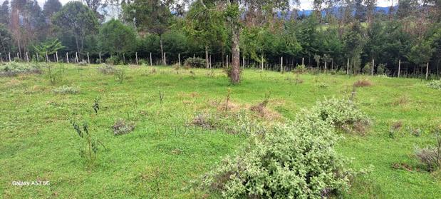 18 Acres on Quick Sale - main view