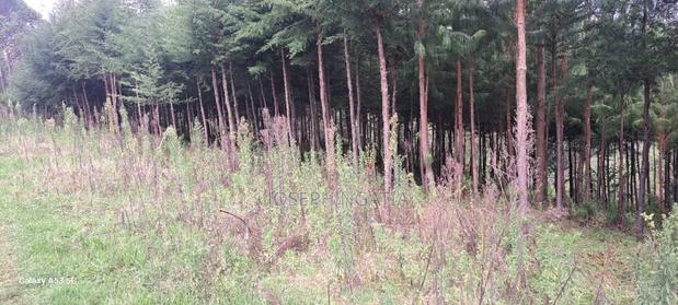 18 Acres on Quick Sale - thumbnail 4