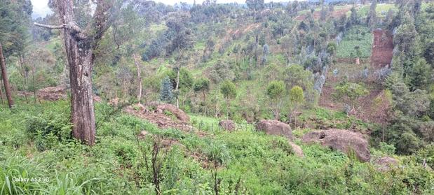 18 Acres on Quick Sale - thumbnail 5